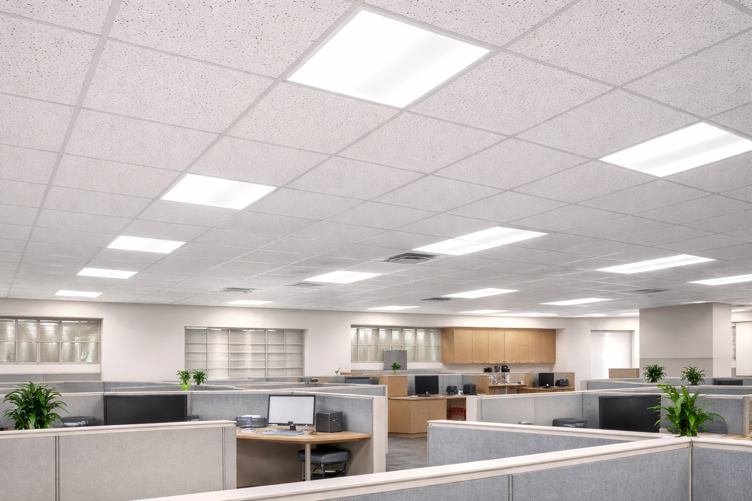 Acoustic Ceiling Boards
